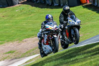 Oulton-Park-20th-March-2020;PJ-Motorsport-Photography-2020;anglesey;brands-hatch;cadwell-park;croft;donington-park;enduro-digital-images;event-digital-images;eventdigitalimages;mallory;no-limits;oulton-park;peter-wileman-photography;racing-digital-images;silverstone;snetterton;trackday-digital-images;trackday-photos;vmcc-banbury-run;welsh-2-day-enduro